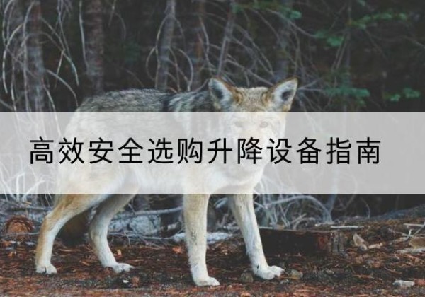 来安升降货梯厂家推荐-*安全选购升降设备指南