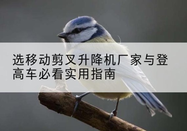 来安电动升降机厂家-选移动剪叉升降机厂家与登高车必看实用指南