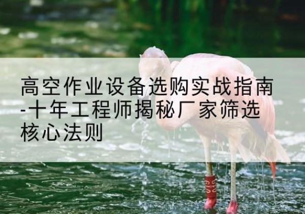 来安剪叉式升降机厂家-高空作业设备选购实战指南-十年工程师揭秘厂家筛选核心法则